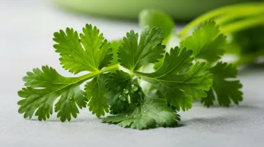 garnishing-instructions-image